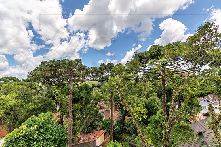 Topo das Araucárias em Canela